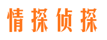 镇坪市私家侦探